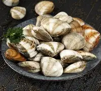 贝林厄姆赛点兑现,达拉斯独行侠淘汰那不勒斯晋级四强,主帅激动落泪(雷速体育在线直播) 贝林厄姆赛点兑现,达拉斯独行侠淘汰那不勒斯晋级四强,主帅激动落泪(雷速体育在线直播)